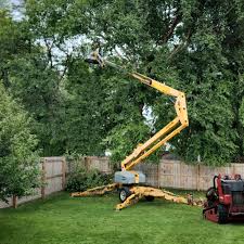 Leaf Removal in Lavaca, AR